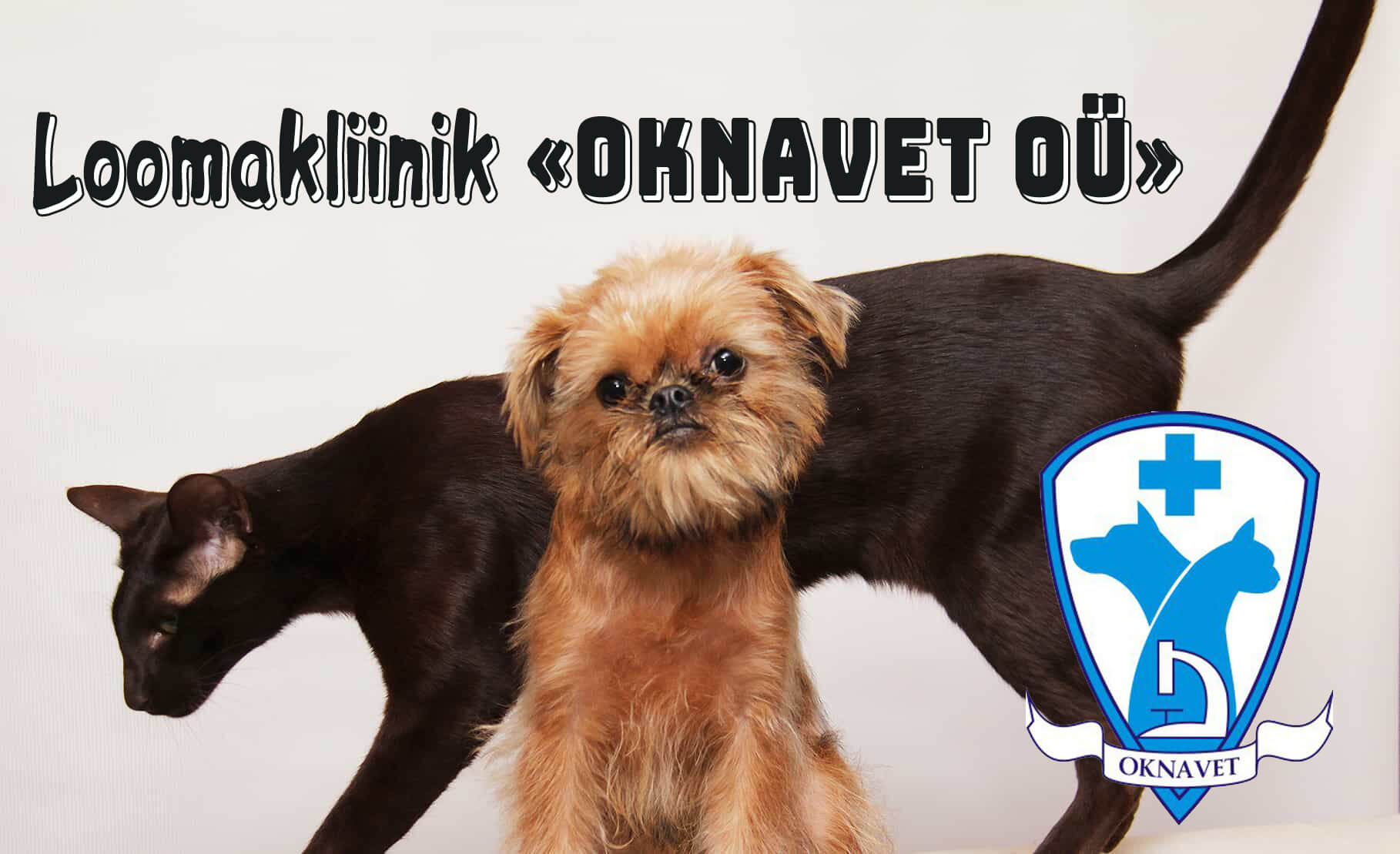 Veterinaardiagnostikakeskus